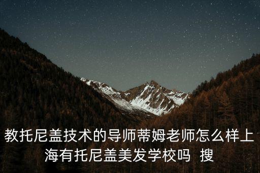 教托尼蓋技術(shù)的導(dǎo)師蒂姆老師怎么樣上海有托尼蓋美發(fā)學(xué)校嗎  搜