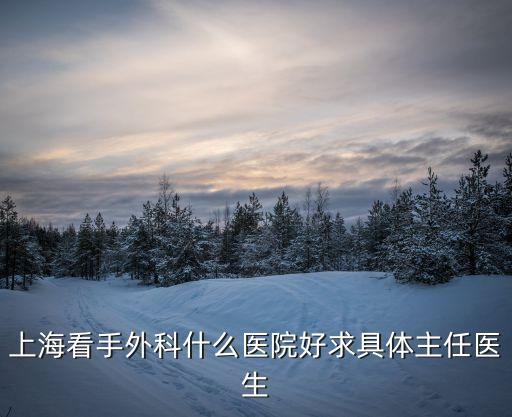 上海市人民醫(yī)院手外科，上海看手外科什么醫(yī)院好求具體主任醫(yī)生