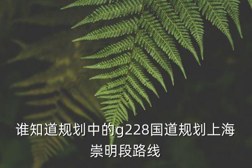 誰知道規劃中的g228國道規劃上海崇明段路線