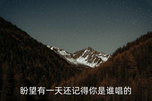 盼望有一天還記得你是誰唱的