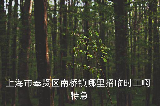 上海市奉賢區南橋超市小時工，上海奉賢區南橋鎮有沒有招聘鐘點工兼職