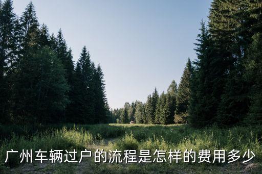惠州車過(guò)戶到廣州流程，我有輛車是惠州牌的現(xiàn)在搖到廣州牌請(qǐng)問(wèn)惠州牌轉(zhuǎn)出的業(yè)務(wù)名稱叫