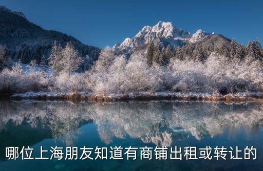 上海市新小區商鋪出租招商，上海哪里有既便宜人流量又多的店面出租