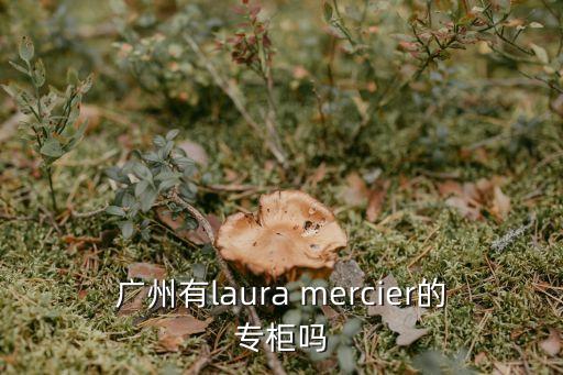 廣州有laura mercier的專柜嗎