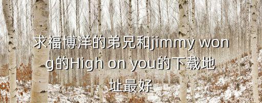求福博洋的弟兄和jimmy wong的High on you的下載地址最好