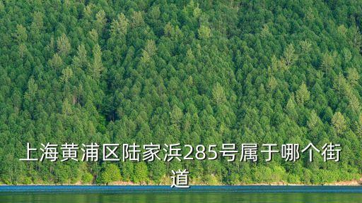 上海黃浦區(qū)陸家浜285號屬于哪個街道