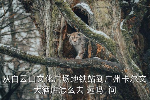 廣州凱爾卡頓大酒店附近地鐵站點，廣州南站到廣州凱爾卡頓大酒店怎么走