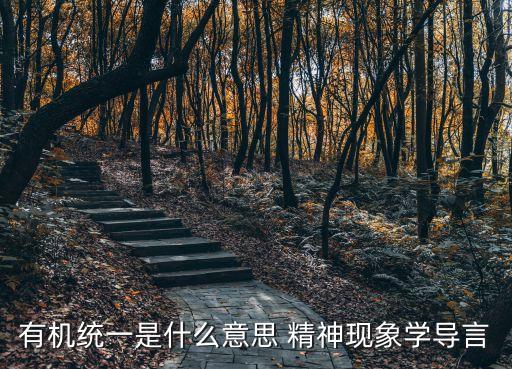 有機統(tǒng)一，有機統(tǒng)一和有機結合的有機是什么意思