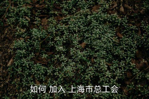 如何 加入 上海市總工會(huì)