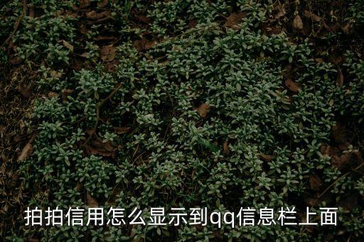 拍拍信用怎么顯示到qq信息欄上面