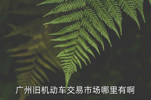 廣州華林二手車交易市場，廣州哪里有最大的二手車交易市場