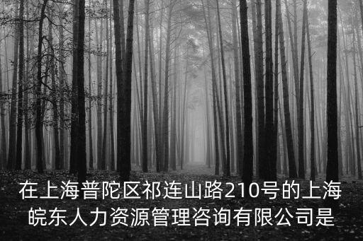 在上海普陀區祁連山路210號的上海皖東人力資源管理咨詢有限公司是