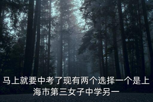 馬上就要中考了現有兩個選擇一個是上海市第三女子中學另一