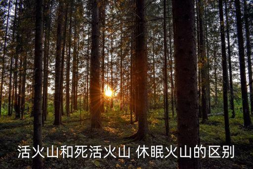 活火山和死活火山 休眠火山的區(qū)別