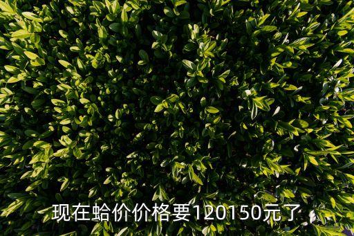 蛤蜊上海市場價，蛤蜊的批發價是多少