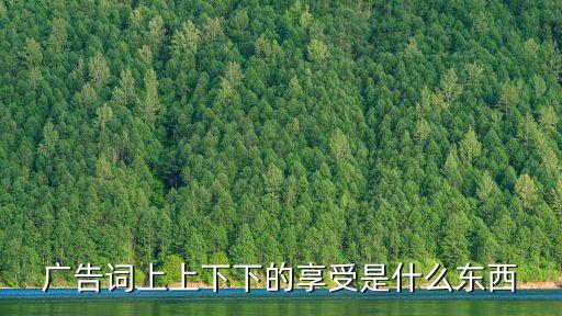 廣告詞上上下下的享受是什么東西