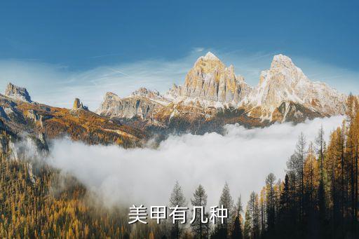 美甲款式，美甲有幾種