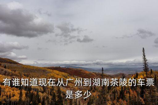 有誰知道現(xiàn)在從廣州到湖南茶陵的車票是多少