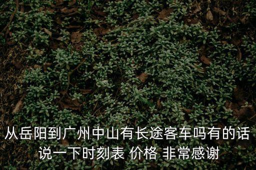 岳陽有去廣州的大巴嗎，岳陽至廣州的汽車在哪坐