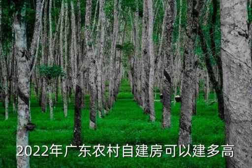 2022年廣東農村自建房可以建多高