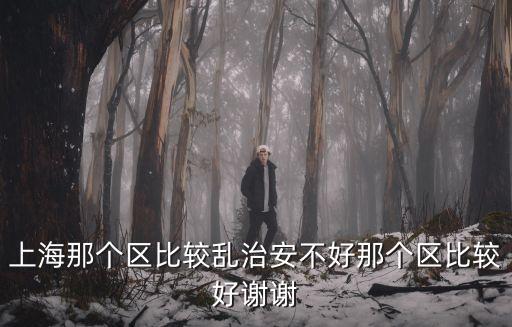 上海那個區(qū)比較亂治安不好那個區(qū)比較好謝謝