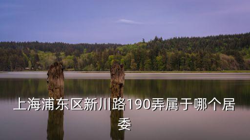 上海市川沙南市居委會(huì)電話，上海浦東區(qū)新川路190弄屬于哪個(gè)居委