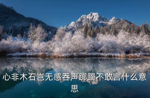 心非木石豈無感吞聲躑躅不敢言什么意思