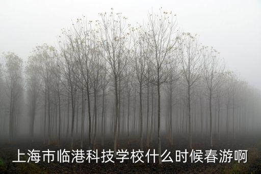 上海市臨港科技學(xué)校介紹，關(guān)于上海市臨港科技學(xué)校