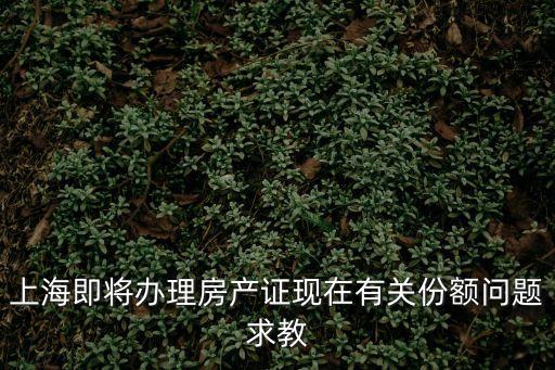 上海市共有產權份額，我們夫妻二人和獨子共有一套在上海的唯一住房如何確定各人的份額