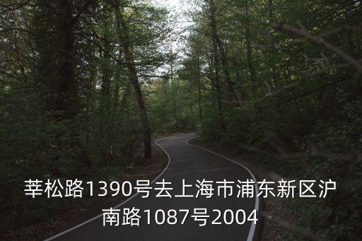 莘松路1390號去上海市浦東新區滬南路1087號2004