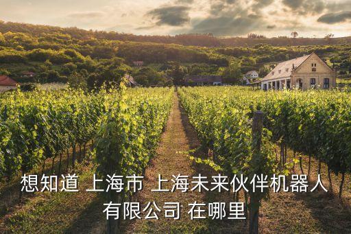想知道 上海市 上海未來伙伴機器人有限公司 在哪里