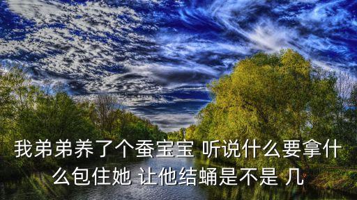 廣州蠶籽，地板上發(fā)現(xiàn)有幾個(gè)蟲子像外來的家住廣州這個(gè)什么蟲子