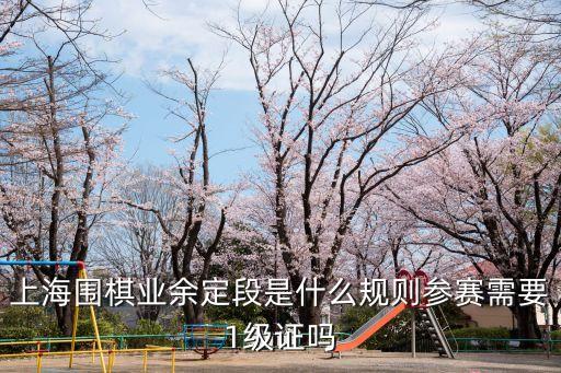 上海圍棋業余定段是什么規則參賽需要1級證嗎