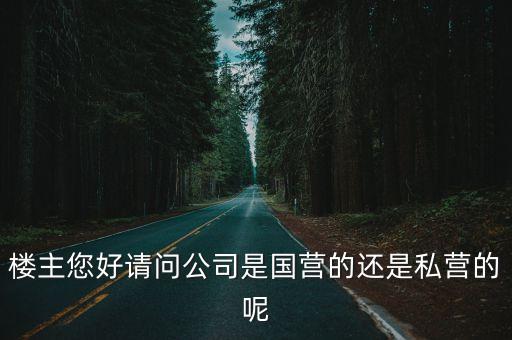 樓主您好請(qǐng)問(wèn)公司是國(guó)營(yíng)的還是私營(yíng)的呢