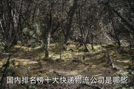 快遞公司排名前十，國內排名榜十大快遞物流公司是哪些