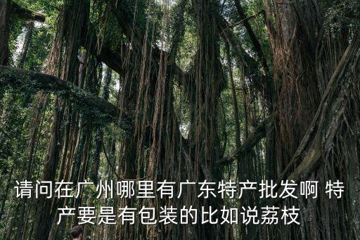 廣州哪里買荔枝罐頭，廣州在那里可以買到水果罐頭