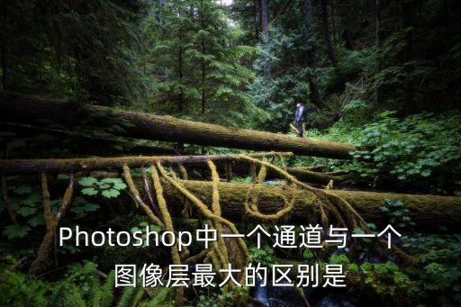 Photoshop中一個通道與一個圖像層最大的區別是
