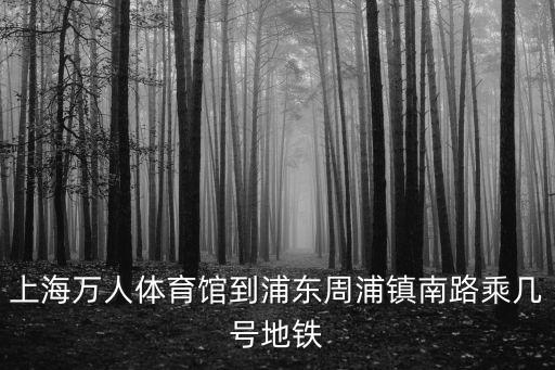 上海萬人體育館到浦東周浦鎮南路乘幾號地鐵