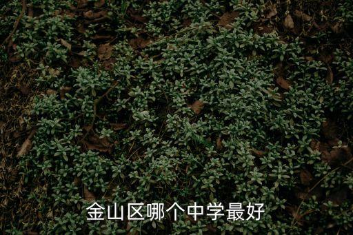 上海市金山同凱中學(xué)，金山區(qū)那幾所中學(xué)是重點(diǎn)