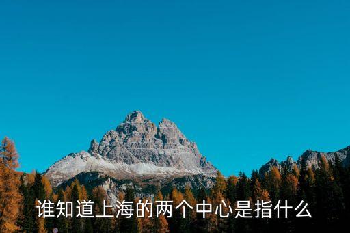 上海市北半島中心，誰知道上海的兩個中心是指什么