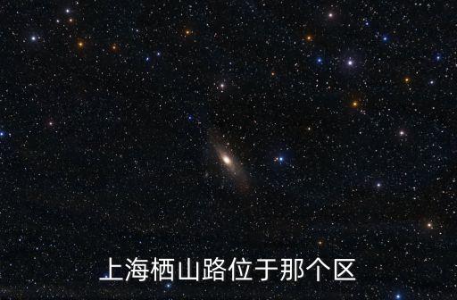上海市浦東新區棲山路465弄，上海棲山路位于那個區