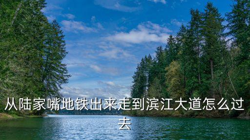從陸家嘴地鐵出來走到濱江大道怎么過去
