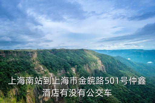 上海南站到上海市金皖路501號仲鑫酒店有沒有公交車