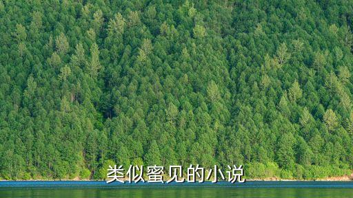 蜜見，類似蜜見的小說