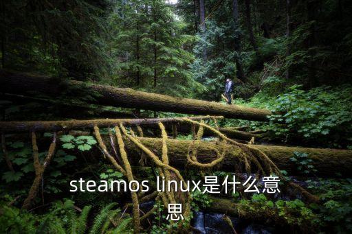steamos linux是什么意思