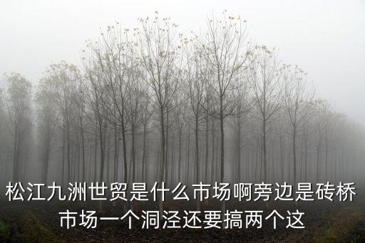 松江九洲世貿(mào)是什么市場啊旁邊是磚橋市場一個洞涇還要搞兩個這