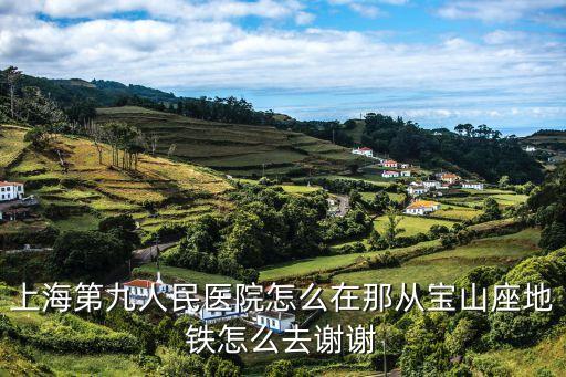 上海第九人民醫(yī)院怎么在那從寶山座地鐵怎么去謝謝