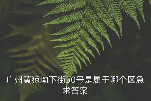 廣州黃猄坳下街50號是屬于哪個區急求答案