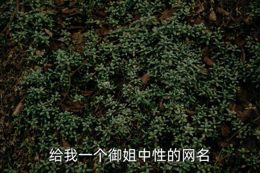 給我一個御姐中性的網名