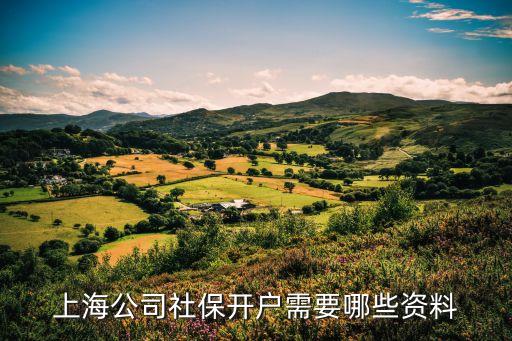 上海市社保開戶需要資料，上海社保開戶需要哪些資料